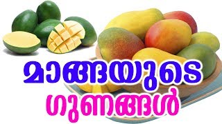 മാങ്ങയുടെ ഗുണങ്ങൾ  | Benefits of Mangoes | TASTY WORLD | Heath Benefits Of Mangos