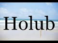 how to pronounce holub🌈🌈🌈🌈🌈🌈pronunciation of holub