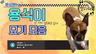 용식이! 밥 앞에서 개인기 폭발