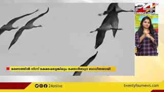 ഇന്ന് ഹിരോഷിമ ദിനം രക്‌തസാക്ഷിയായ സഡാക്കോ സസാക്കിയുടെ ഓർമകൾ