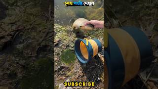 বালতি তুলতে গিয়ে🐠🐟এটা কি পেলাম! #fishing #fishingshorts #shorts