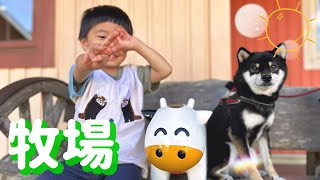 豆柴のうちの子記念日に成田ゆめ牧場に行ってきた！【柴犬】Shiba and my family