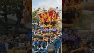 2023年　百舌鳥八幡宮　月見祭　中百舌鳥町　宮入