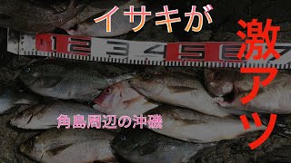 角島周辺の沖磯へ釣行！良型イサキに遊んでもらう！