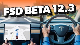 Tesla FSD 12.3 Review