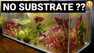 Substrate FREE Aquariums Are the FUTURE!