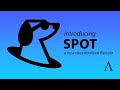 Introducing SPOT: a Flatcoin that will Surivive Market Crashes