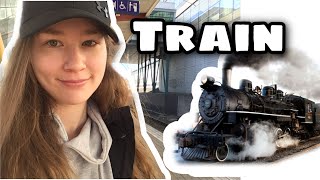 Taking A Finnish Train ✰ Suomalainen Junamatka (dual Eng \u0026 Fin subtitles) 🇫🇮