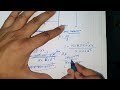 q30 diffraction and interference are closely related phenomena that occure together. diffraction is