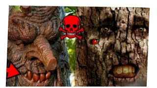 Most Dangerous Trees You Should NEVER Touch | The Most Dangerous Trees In The World |  ☠️