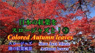 日本の紅葉を癒しのスロージャズ音楽と共に！③【庭園】(癒し・気分転換・BGM)【15分】 Autumn leaves in Japan with Slow Jazz Music.