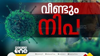 എന്തുകൊണ്ടാണ് നിപ കോഴിക്കോട് തന്നെ വീണ്ടും? | News Decode