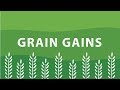 Grain Gains