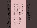 〈710〉日蓮聖人に学ぶ『妙心尼御前御返事』｢蓮華と申す花は かかるいみじき 徳ある花にて候へば 仏 妙法にたとへ給へり｣ shorts