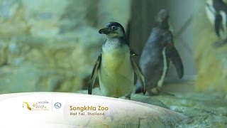 Songkhla Zoo in Hat Yai, Thailand