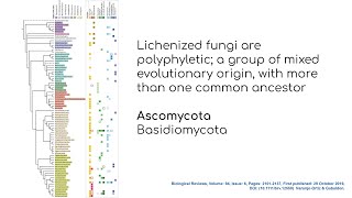 Lichens Module 2: What is a lichen species?