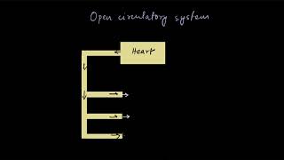 Open and closed circulatory systems | Body fluids and circulation | Biology | Khan Academy