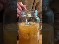 How to make a Ginger Bug (Ginger Beer Starter)