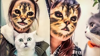 What Did Cats Do When They See Their Owners Like This? Funny and Fun Cat Videos