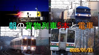 JR貨物とJR東海 2025/01/21 朝の貨物列車5本と電車313系 373系 313系＋211系 東海道本線