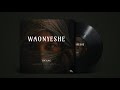 Ts Gang - Waonyeshe ( Official Music Audio)