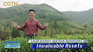 Lucid waters and lush mountains are invaluable assets