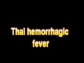 What Is The Definition Of Thai hemorrhagic fever