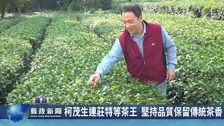 柯茂生連莊特等茶王 堅持品質保留傳統茶香｜南投縣政新聞 2024.01.05