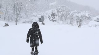 입춘 폭설에 제주 '꽁꽁'…공항 큰 차질 없어 / 연합뉴스TV (YonhapnewsTV)