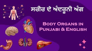 ਸਰੀਰ ਦੇ ਅੰਦਰੂਨੀ ਅੰਗ - Body Organs in Punjabi \u0026 English