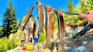 MOUNTAIN TROUT Fishing!!! 24H SOLO Catch, Cook, Camp & Filming Wild Axolotls!