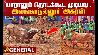 முடிஞ்சா மோதிப்பார் ..!  வீரர்களை கதறவிட்ட அலங்காநல்லூர் `அசுரன்'