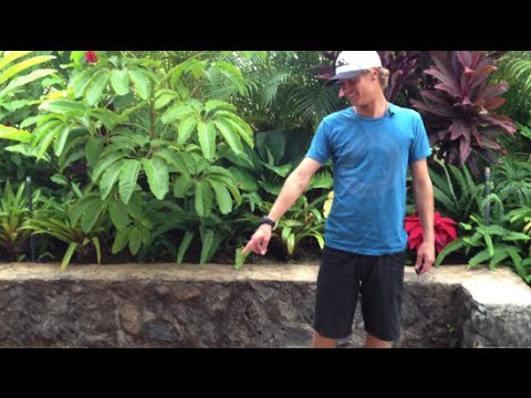 How To Clean A Wetsuit How To Clean A Wetsuit