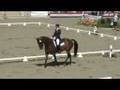 WADAMUR & SUSAN JACCOMA, INTERM KUR, '08 USEF FESTIVAL