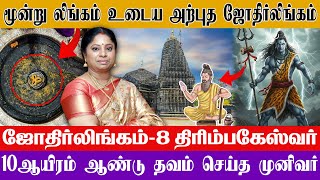 மூன்று லிங்கம் உடைய அற்புத ஜோதிர்லிங்கம்! 10ஆயிரம் ஆண்டு தவம் செய்த முனிவர்! ஜோதிர்லிங்கம்-8