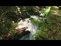 水呑不動滝　mizunomi fudou falls 三重県大台町（hd）