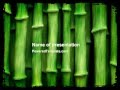 Green Bamboo PowerPoint Template by PoweredTemplate.com