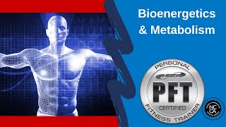 Bioenergetics \u0026 Metabolism | Exercise Physiology | Health and Fitness Education