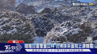 誰在雪山灑糖霜? 鬱鬱山林也白頭 最新雪況曝光「積雪達15公分」｜TVBS新聞 @TVBSNEWS01