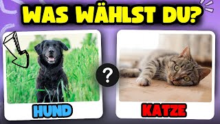 ENTWEDER ODER Quiz 🐶🐱🧠 Allgemeinwissen Quiz 2024