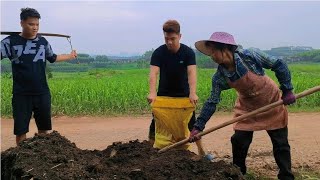 强子去杀虫的路上碰见舅妈在给甘蔗撒牛粪，马上停车帮忙