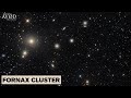 FORNAX CLUSTER