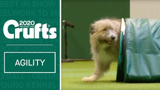 Heartwarming Rescue Dog Agility | ​Crufts 2020