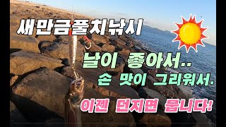 군산 새만금 너울쉼터 폴치낚시 ! 이젠 풀치 잘나옵니다. 2021년 9월 08일 오후 6시부터 08시 40분까지 약 2시간 40분 정도 낚시를 진행했습니다.