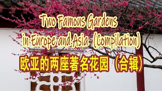 Two famous gardens in Europe and Asia: East Lake Plum Garden and Keukenhof Garden (Compilation)