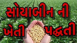 આજની કૃષી માહીતી-સોયાબીન ની ખેતી પદ્ધતી- Aaj ni krushi mahiti-soyabean ni kheti paddhati