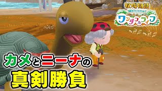 ニーナとカメの勝負がちょっとズルかったｗｗｗｗ【牧場物語 welcome! ワンダフルライフ  攻略 解説 ネタバレ注意 NintendoSwitch】