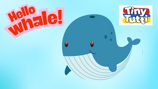 Hello Whale! | a short episode for Preschoolers by Tiny Tutti