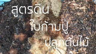 สูตรดินหมักใบก้ามปู ปลูกต้นไม้ได้ทุกชนิด