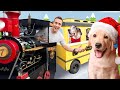 Surprising Homeless Dogs with a Christmas Train to their New Family! *Emotional compilation*